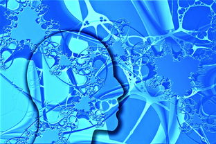 华体会app客服-中国足球不同战术体系试验数据，国足战术风格