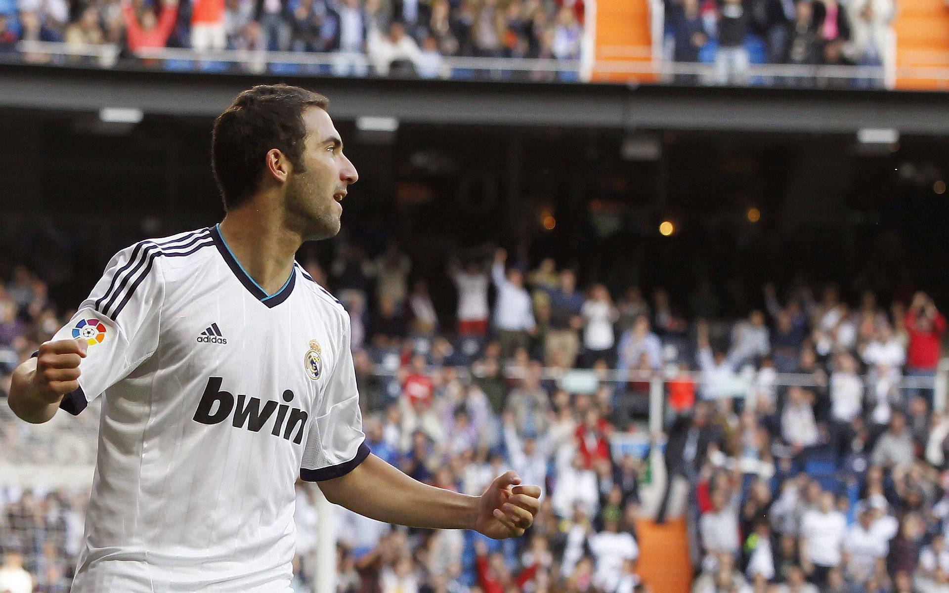 现场直击:赛场中的感人瞬间与球迷热情,足球赛场上的感人瞬间