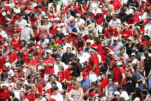 华体会体育-高校体育赛事观众体验提升策略研究，体育赛事审美体验